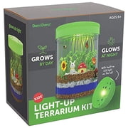 Dan&Darci LED Light-up Terrarium Kit for Kids - Educational Science Craft Kit - Arts and Crafts for Girls & Boys Ages 4-12 Year Old's