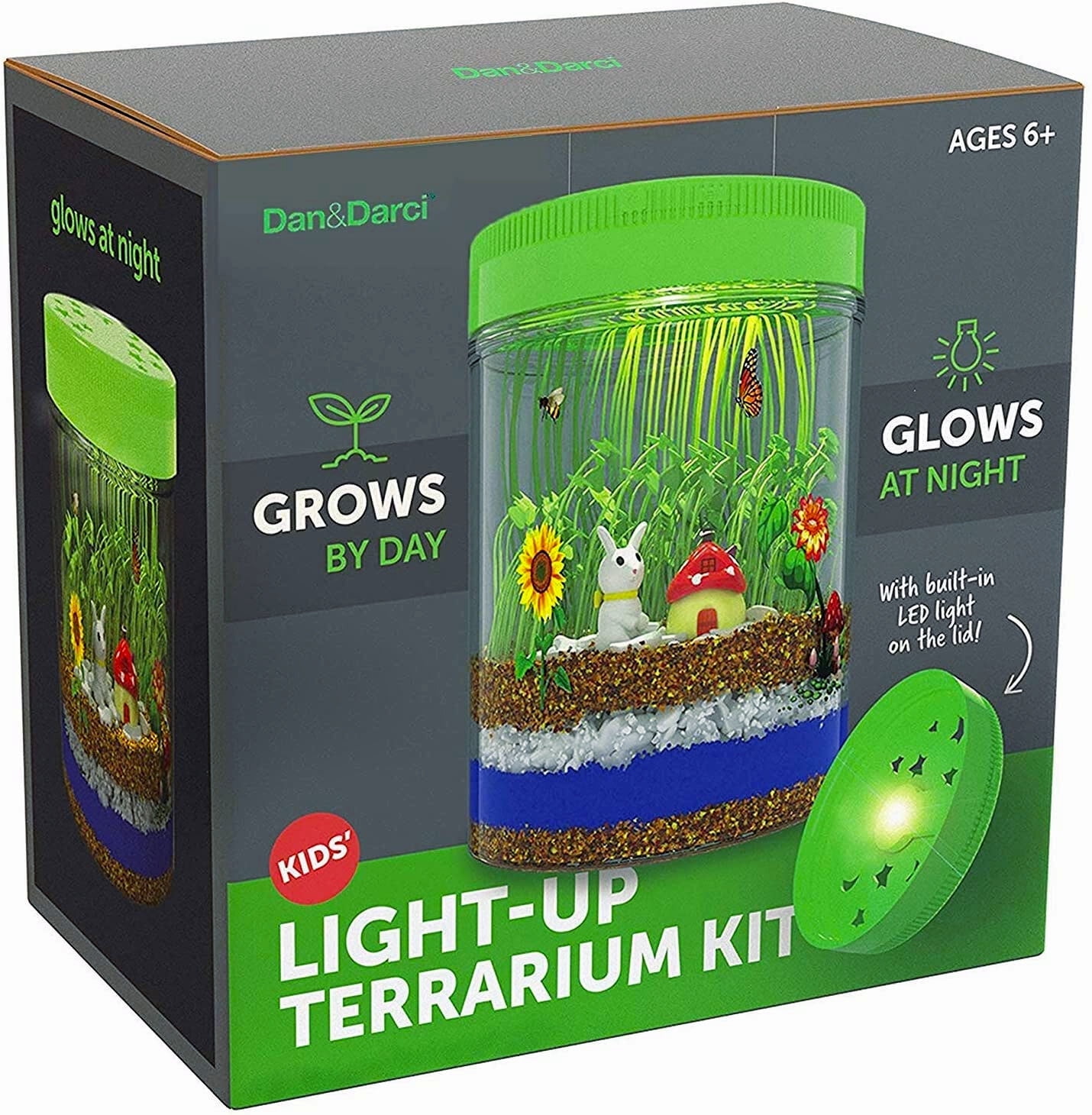 Dan&Darci Light-up Terrarium Kit for Kids - Science Kits, Gardening Gifts, Children Toys