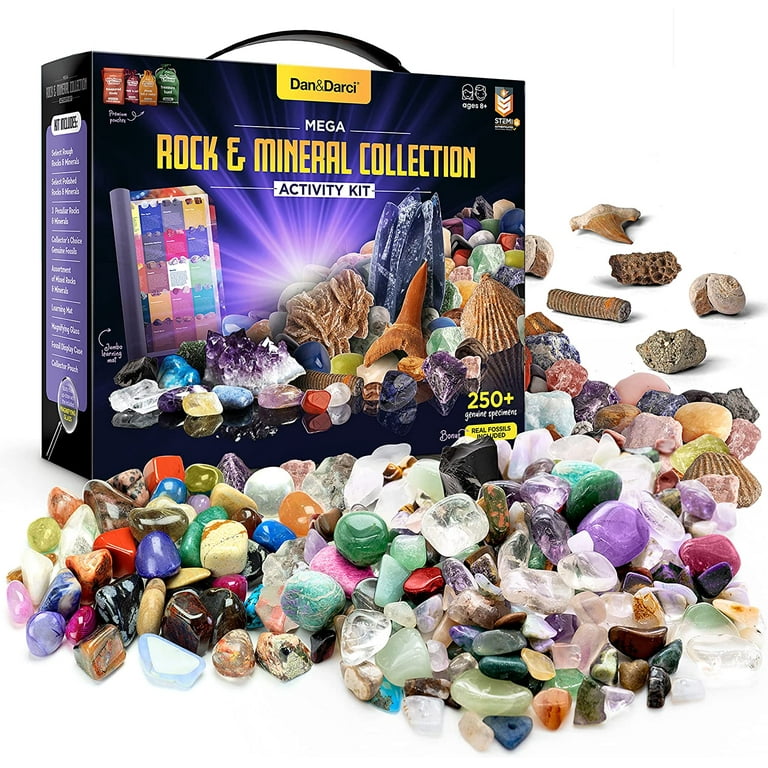 Dan&Darci Rock and Mineral Kit, 250+ Gems and Fossils, Learning
