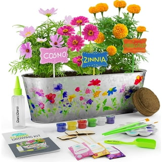 https://i5.walmartimages.com/seo/Dan-Darci-Paint-Plant-Flower-Growing-Kit-Kids-Best-Birthday-Crafts-Gifts-Girls-Boys-Christmas-Gift-Childrens-Gardening-Kits-Art-Projects-Toys-Ages-4_ea064480-6c17-499a-90e6-394e4c51c091.fdcf9a002d2b265f6f1510966d60201a.jpeg?odnHeight=320&odnWidth=320&odnBg=FFFFFF