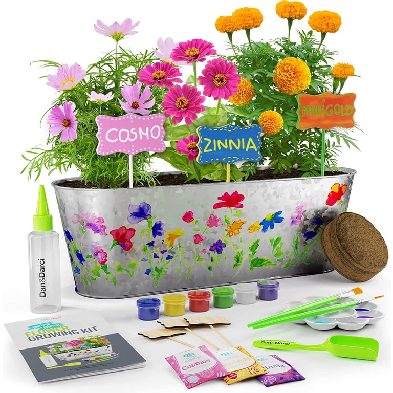 Dan&Darci Paint & Plant Flower Growing Kit for Kids - Walmart.com