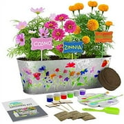 Dan&Darci Paint & Plant Flower Growing Kit for Kids - Best Birthday Crafts Gifts for Girls & Boys - Christmas Gift - Childrens Gardening Kits, Art Projects Toys for Ages 4-12