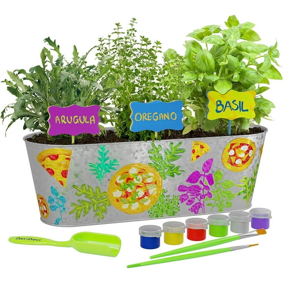 Dan&Darci Paint & Plant Pizza Herb Growing Kit - Grow Basil, Oregano, Arugula Herbs Garden : Includes Everything Needed to Paint and Grow - Great STEM Gift for Children