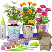 Dan&Darci Paint & Plant Stoneware Flower Growing Kit - Kids Gardening - Science Gifts for Girls and Boys Ages 4-10 - STEM Arts & Crafts Project - Grow Your Own Cosmos, Zinnia & Marigold Flowers
