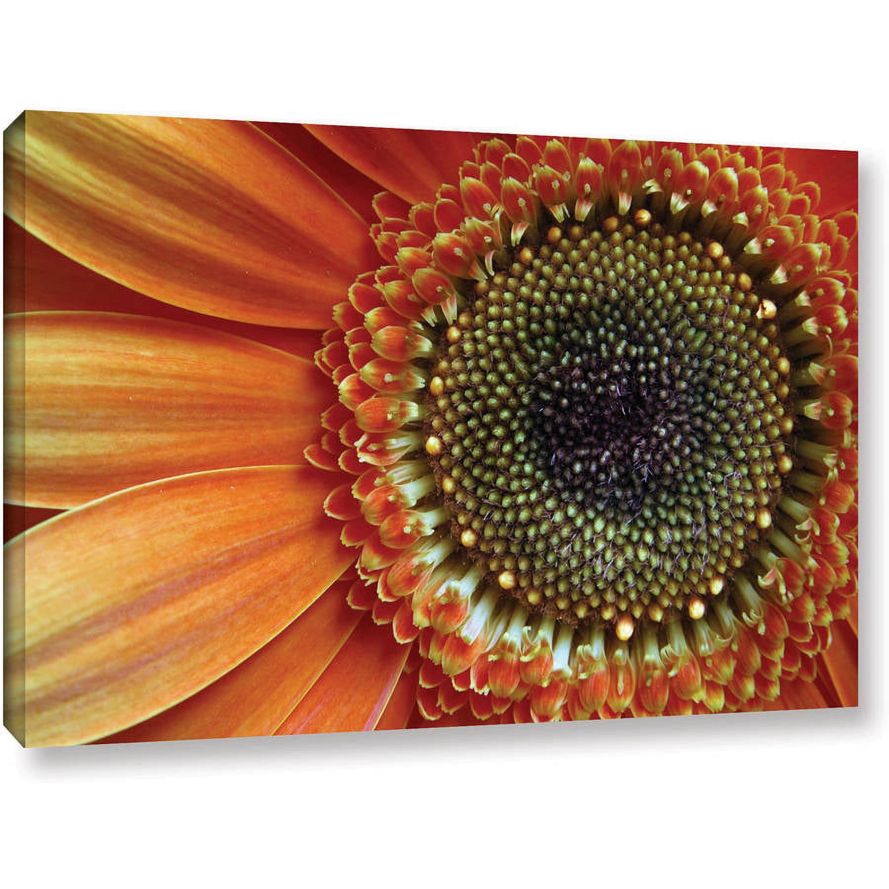 Dan Holm "Big Orange" Gallery-Wrapped Canvas