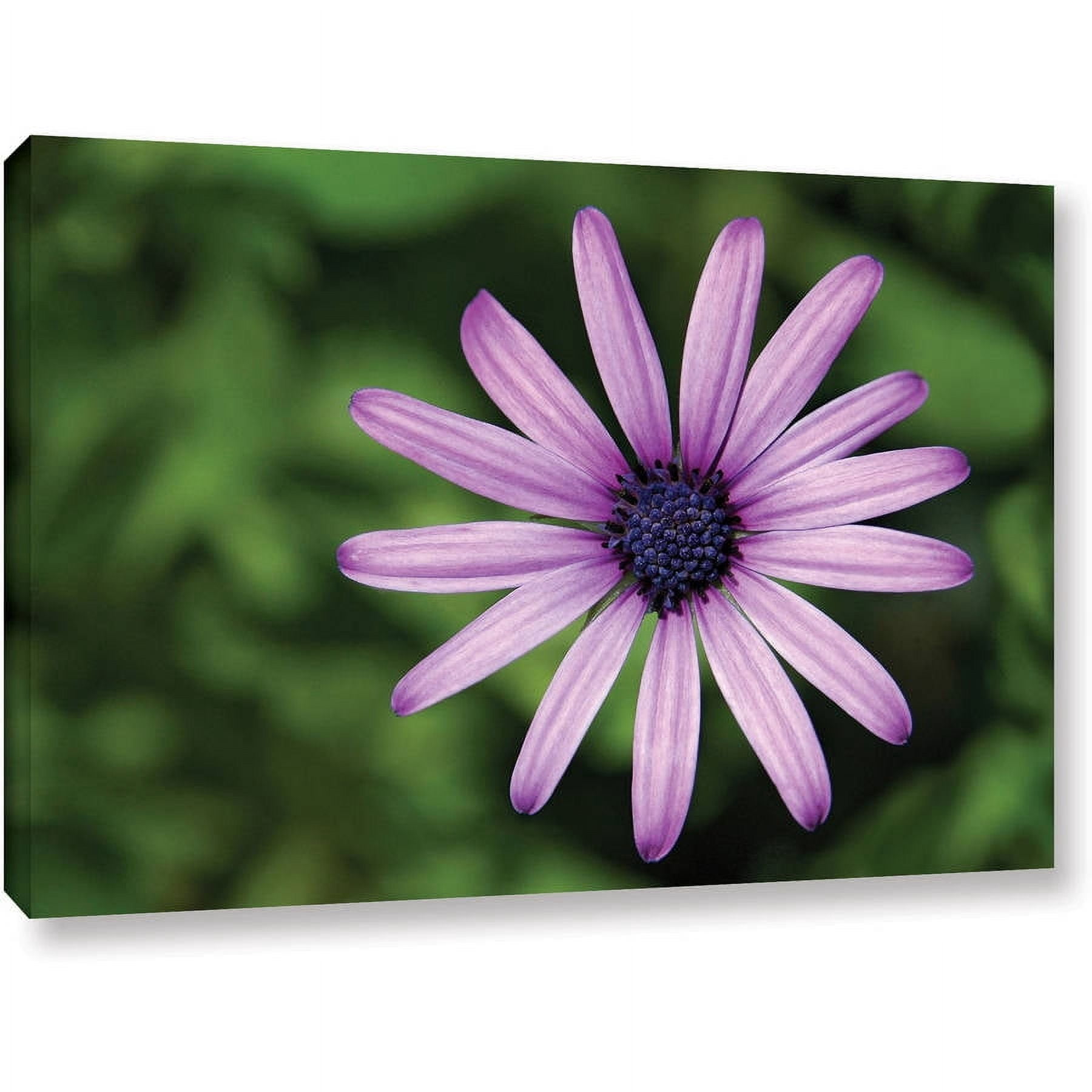 Dan Holm "In The Garden" Gallery-Wrapped Canvas