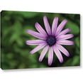 thumbnail image 1 of Dan Holm "In The Garden" Gallery-Wrapped Canvas, 1 of 1