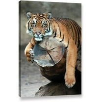 Dan Holm "On A Limb" Gallery-Wrapped Canvas