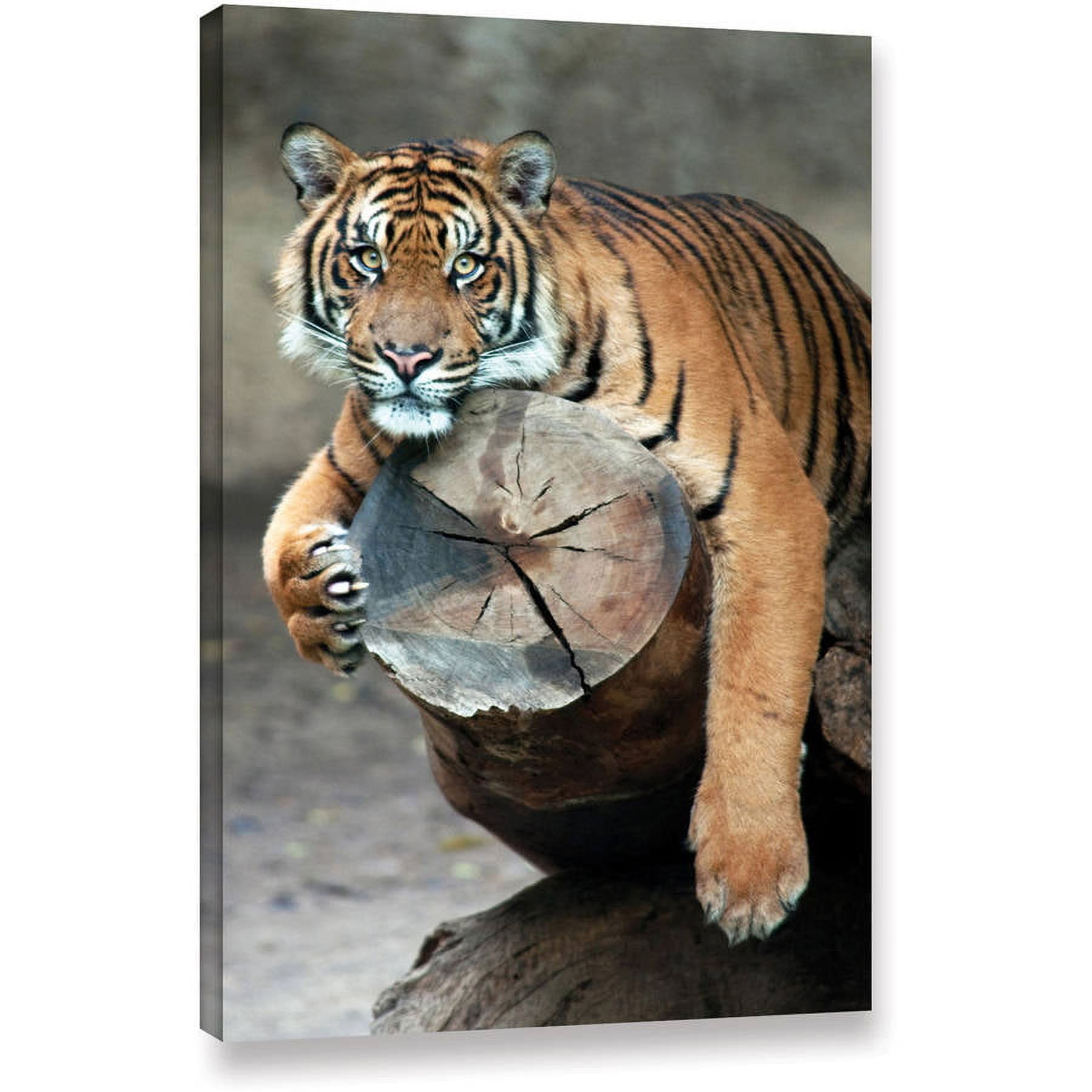 Dan Holm "On A Limb" Gallery-Wrapped Canvas