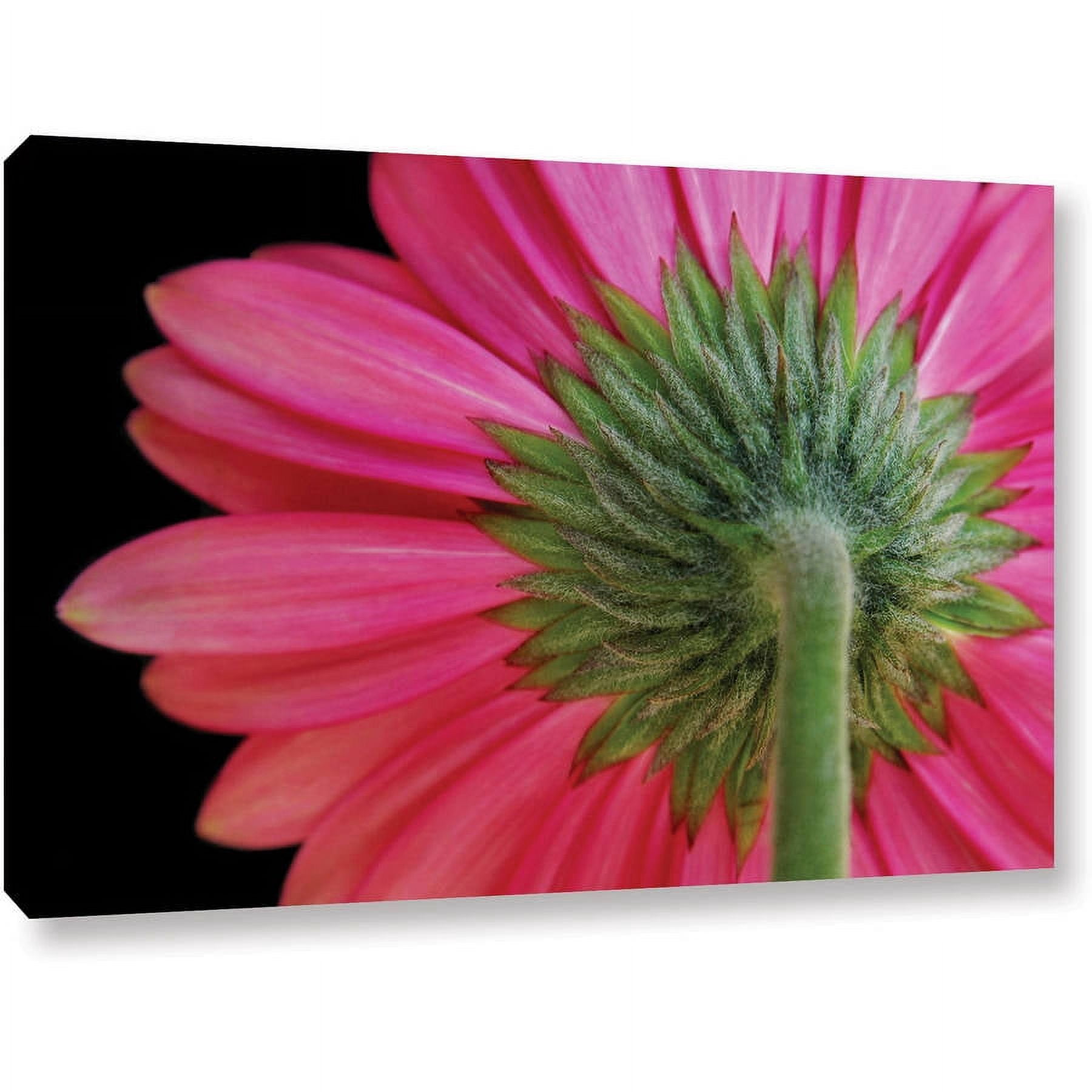 Dan Holm "Shy Flower" Gallery-Wrapped Canvas