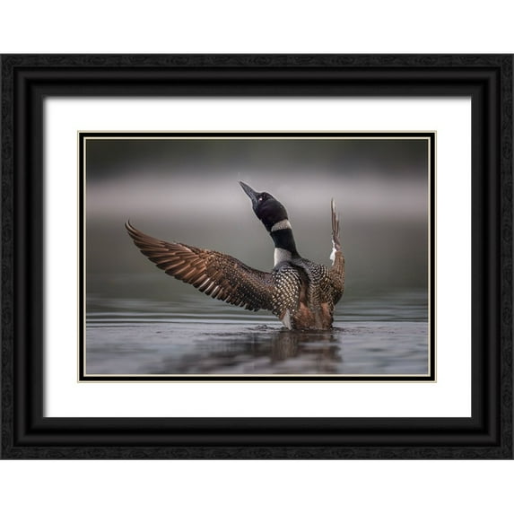 Dan, Kai 24x18 Black Ornate Wood Framed with Double Matting Museum Art Print Titled - Splash