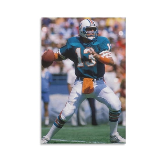 Dan Marino Poster Poster Canvas Art Poster and Wall Art Picture Print Modern Family bedroom Decor Posters 16x24inch(40x60cm)