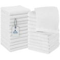 DAN RIVER 100% Cotton Washcloth Pack of 24 (White - 12x12 In) | High ...