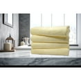 thumbnail image 1 of Dan River 4 Piece Embossed Microfiber Bath Towel Set, 1 of 1