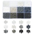 thumbnail image 1 of DanLingJewelry Black & White Seed Beads, 4mm, 1800 Count, 1 of 7