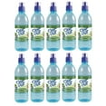thumbnail image 1 of Dana Market - Clear Fruit Kiwi Strawberry Flavored Water 16.9 oz Bottles (Pack of 10), 1 of 1