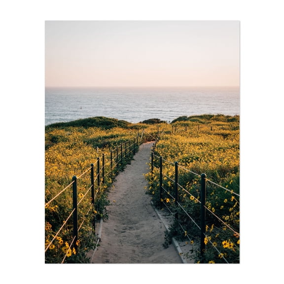 Dana Point Headlands 03 - Dana Point California Photography Coastal Flowers Ocean Nature Seascape Scenic Unframed Wall Art Print 30 x 40 inches