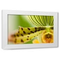 thumbnail image 1 of Dana Styber 14x11 White Modern Wood Framed Wall Art Titled - Extravaganza I, 1 of 5
