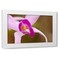 thumbnail image 1 of Dana Styber 18x13 White Modern Wood Framed Wall Art Titled - Purple Glory, 1 of 5