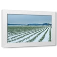 thumbnail image 1 of Dana Styber 32x23 White Modern Wood Framed Wall Art Titled - Snowy Daffodils II, 1 of 5