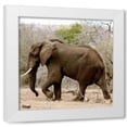 thumbnail image 1 of Dana Underdahl 12x12 White Modern Wood Framed Wall Art Titled - Elephant II, 1 of 5