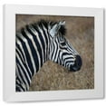 thumbnail image 1 of Dana Underdahl 12x12 White Modern Wood Framed Wall Art Titled - Sarari Zebra VII, 1 of 5