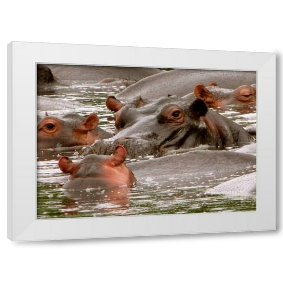Dana Underdahl 14x11 White Modern Wood Framed Wall Art Titled - Hippo II