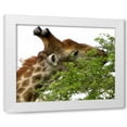 thumbnail image 1 of Dana Underdahl 18x15 White Modern Wood Framed Wall Art Titled - Giraffe I, 1 of 5