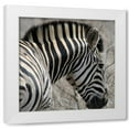 thumbnail image 1 of Dana Underdahl 26x26 White Modern Wood Framed Wall Art Titled - Sarari Zebra VI, 1 of 5