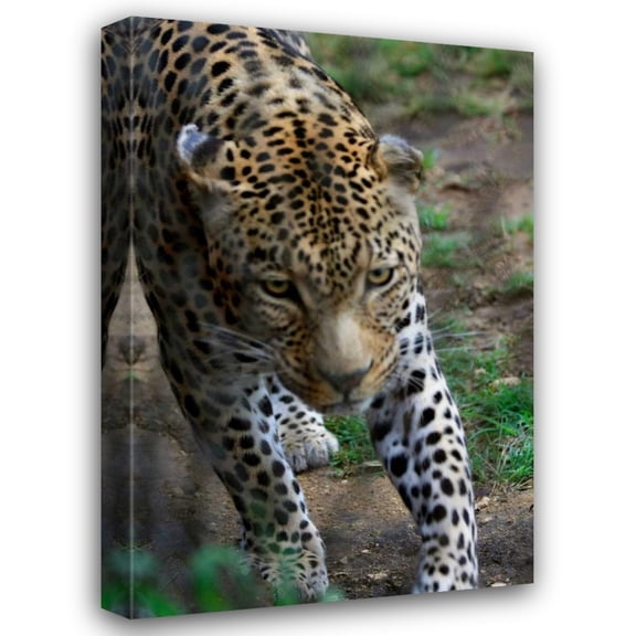Dana Underdahl 31x44 Gallery Wrapped Canvas Wall Art Titled - Leopard I