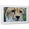 thumbnail image 1 of Dana Underdahl 4x24 White Modern Wood Framed Wall Art Titled - Cheetah I, 1 of 5