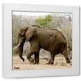 thumbnail image 1 of Dana Underdahl 4x24 White Modern Wood Framed Wall Art Titled - Elephant II, 1 of 5