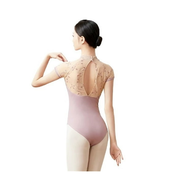 Dance Leotards For Women Embroidery Mesh Leotard Stand Collar With Hidden Buckle Dancewear Girls V Shape Leotard Swimwear