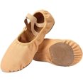 thumbnail image 1 of Dance Shoes for Girls Stretch Canvas Split Sole for Women, 1 of 7