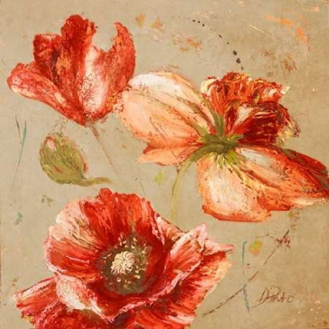 Dance of Poppies I Canvas Art - Patricia Pinto (24 x 24)