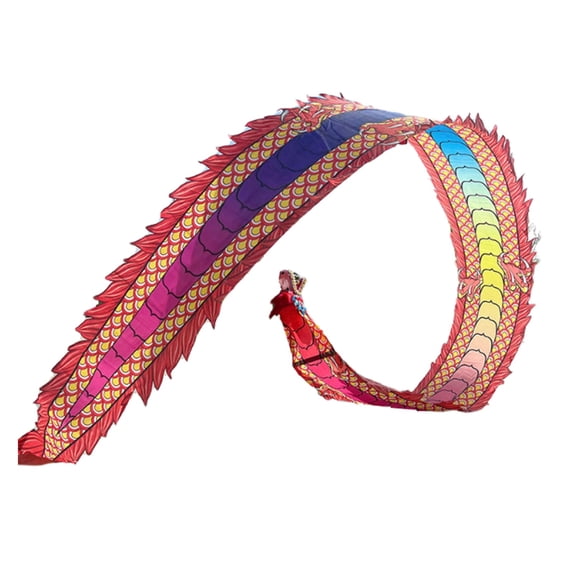 Dance ribbons colorful dragon with head, dragon dance dragon ribbon streamer dragon dance lion dance props for square exercise outdoor fitness for the garden park beach