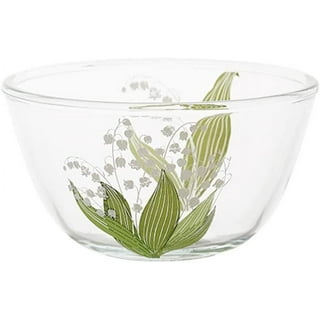 Sizikato 26 Oz Clear Borosilicate Glass Salad Bowl, 6-Inch  Soup Bowl, Batter Bowl: Soup Bowls