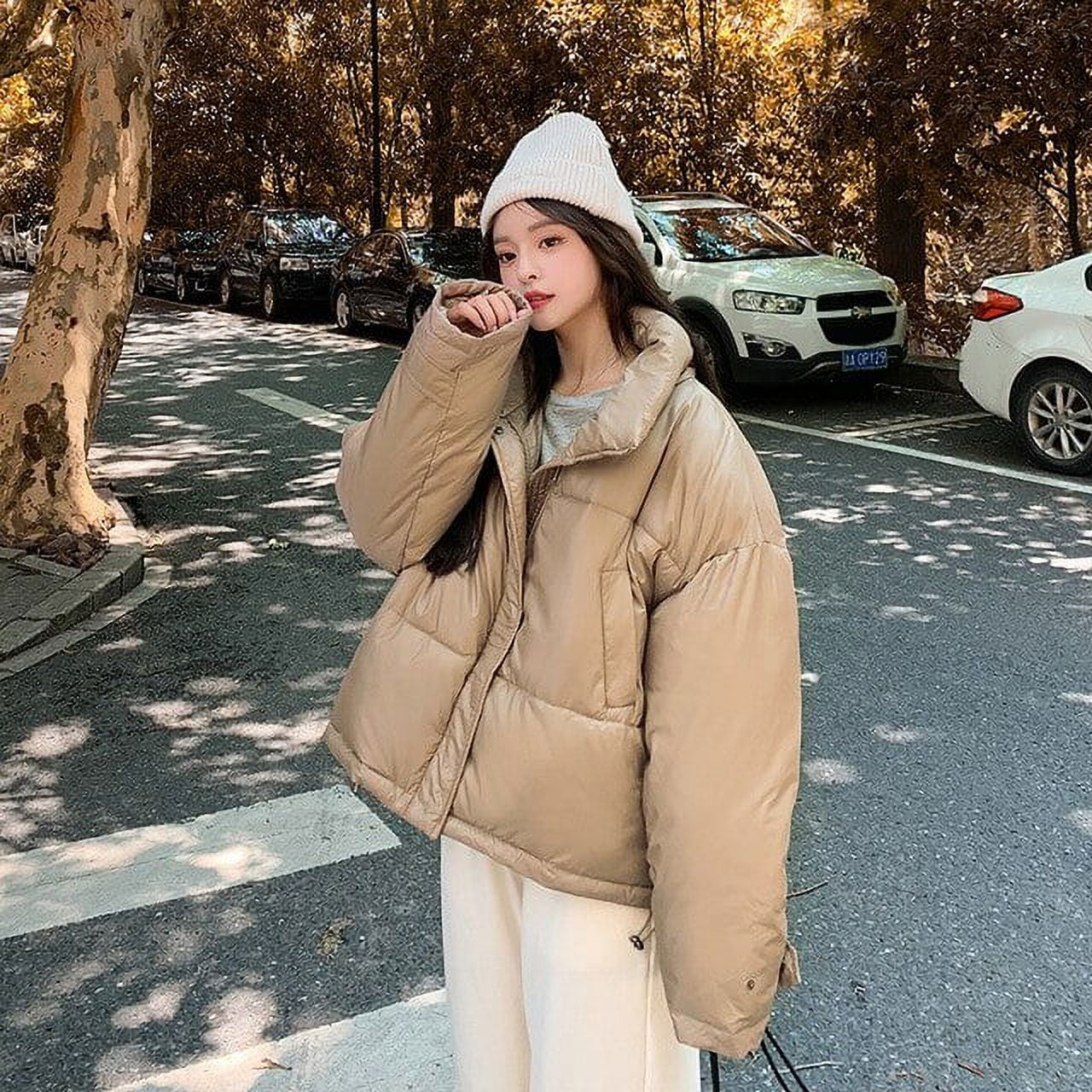 DanceeMangoo Winter Jacket Women Warm Loose Parkas Thicken Cotton Short  Coat Women Clothing Casual Parka Ropa De Invierno Mujer Zm2245 