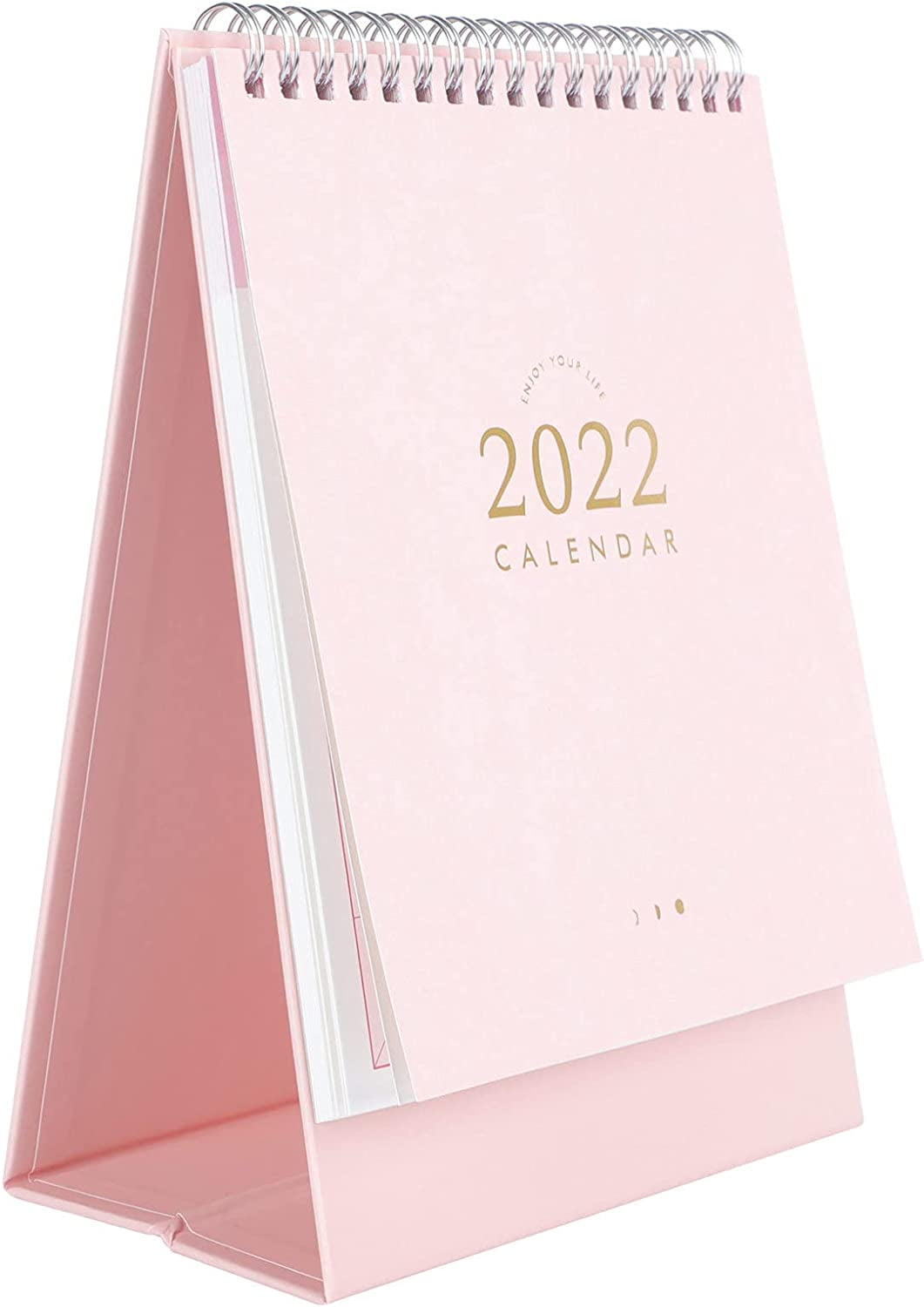 DanceeMangoos Desktop Calendar Daily Planning Calendar Monthly Planning