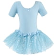 thumbnail image 1 of Girls Ballet Dress with Tutu, Sparkly Skirted Leotard, Stretch Dancewear for Ballet & Dance Class, 1 of 6