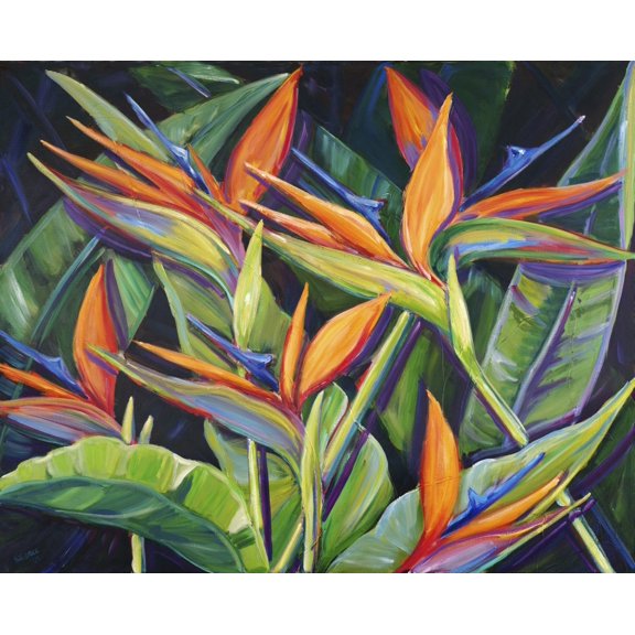 Dancing Birds Beautiful Cluster Of Bird Of Paradise Flowers . by Patti Bruce / Design Pics