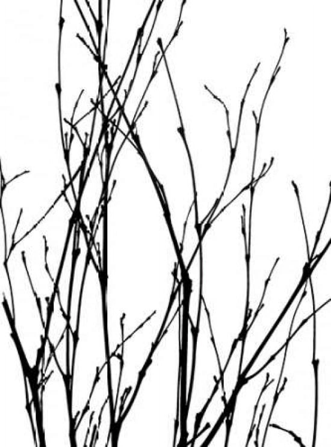 Dancing Branches III Canvas Art - Monika Burkhart (18 x 24)