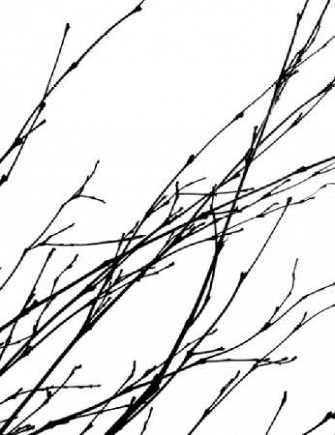 Dancing Branches IV Canvas Art - Monika Burkhart (22 x 28)