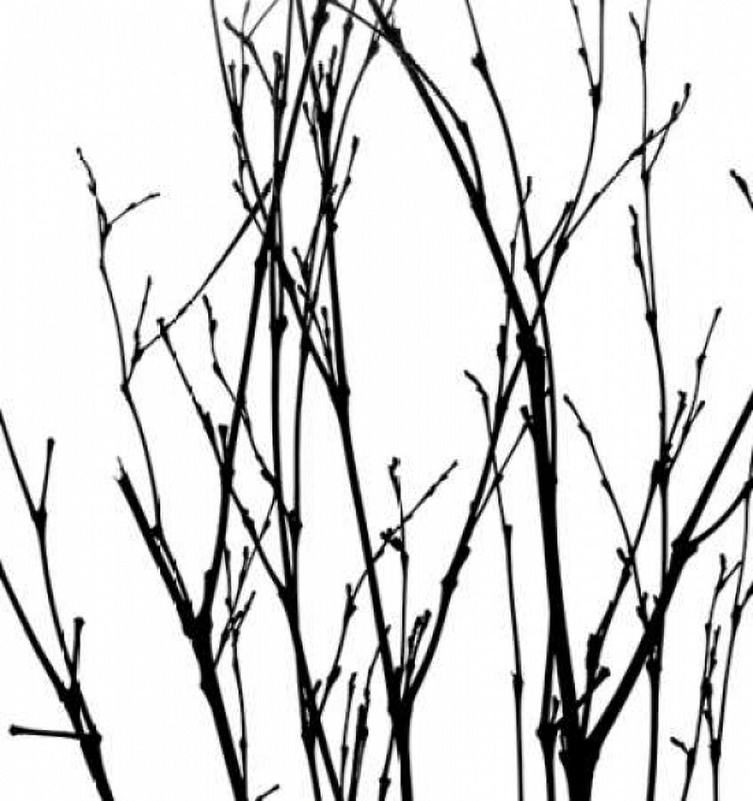 Dancing Branches V Canvas Art - Monika Burkhart (24 x 24)