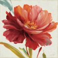thumbnail image 1 of Dancing Colors I Poster Print by Lisa Audit (12 x 12), 1 of 2
