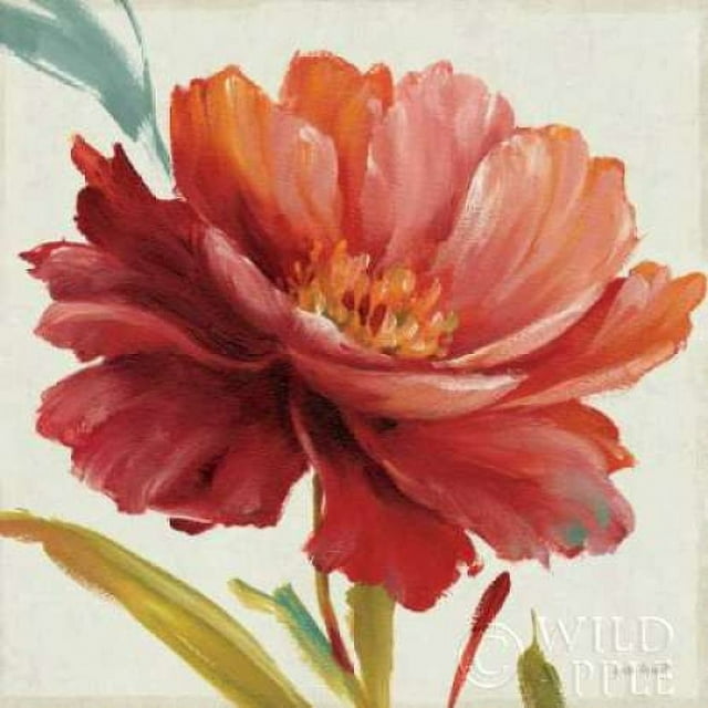 Dancing Colors I Poster Print by Lisa Audit (12 x 12)