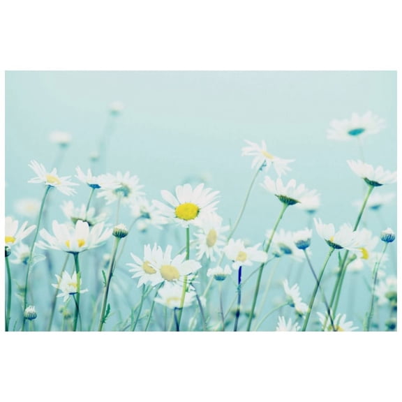 "Dancing Daisies" by Robert Dickinson Painting Print on Canvas