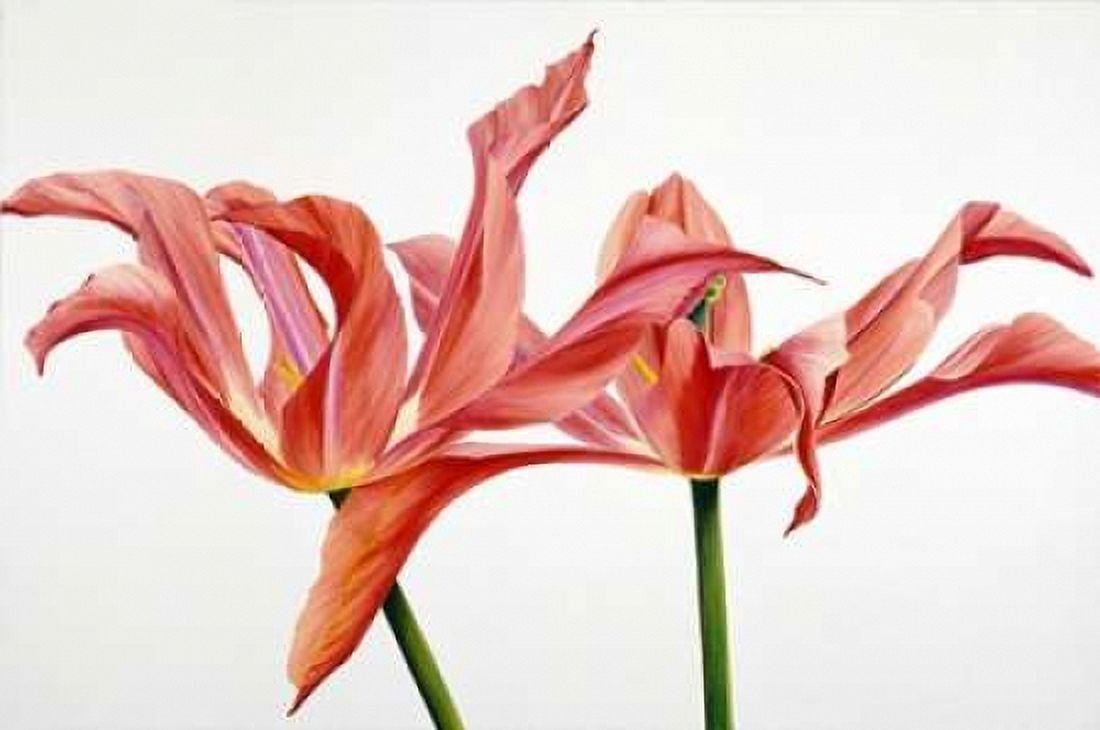 Dancing Floriade Canvas Art - Yvonne Poelstra-Holzhaus (24 x 36)