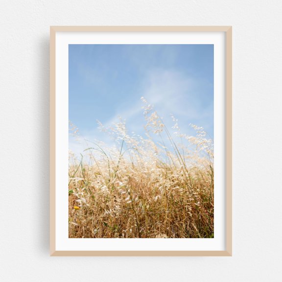 Dancing Grasses of Portugal - Photography Nature Scenic Summer Pastoral Minimalist Countryside Landscape Oak Framed Wall Art Print 12 x 16 inches