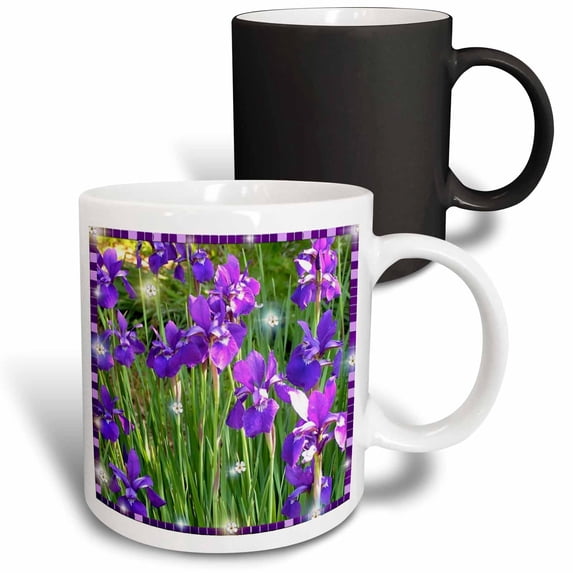 3drose, Dancing Iris, 11oz Magic Transforming Mug